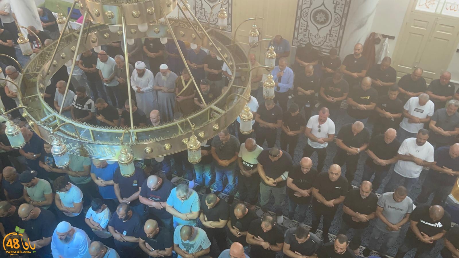 WhatsApp Image 2023-10-12 at 12.00.18 PM (3).jpeg